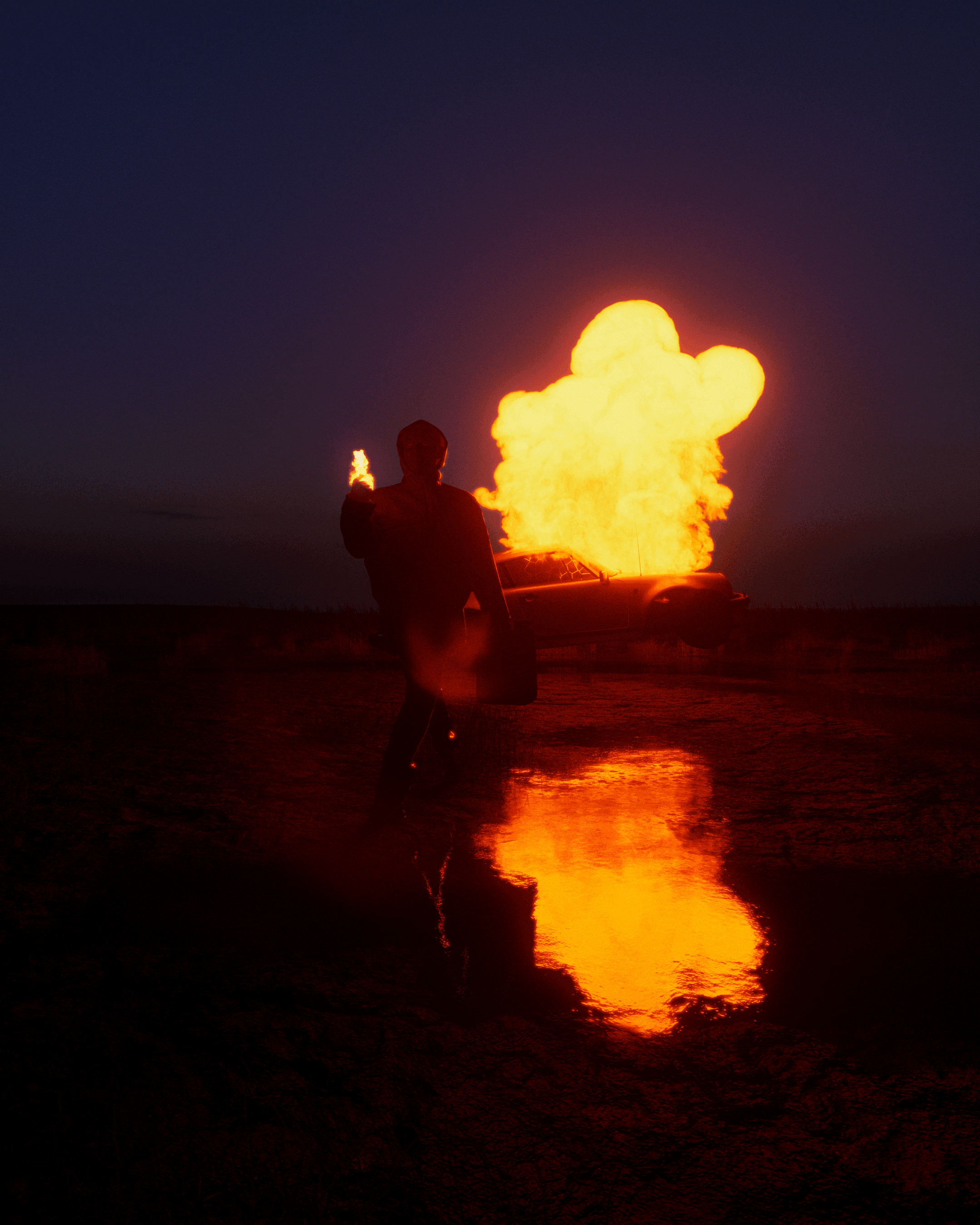 Picture of Fire project
